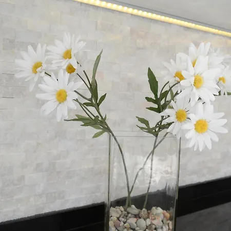 Bay Seaview Апартаменты